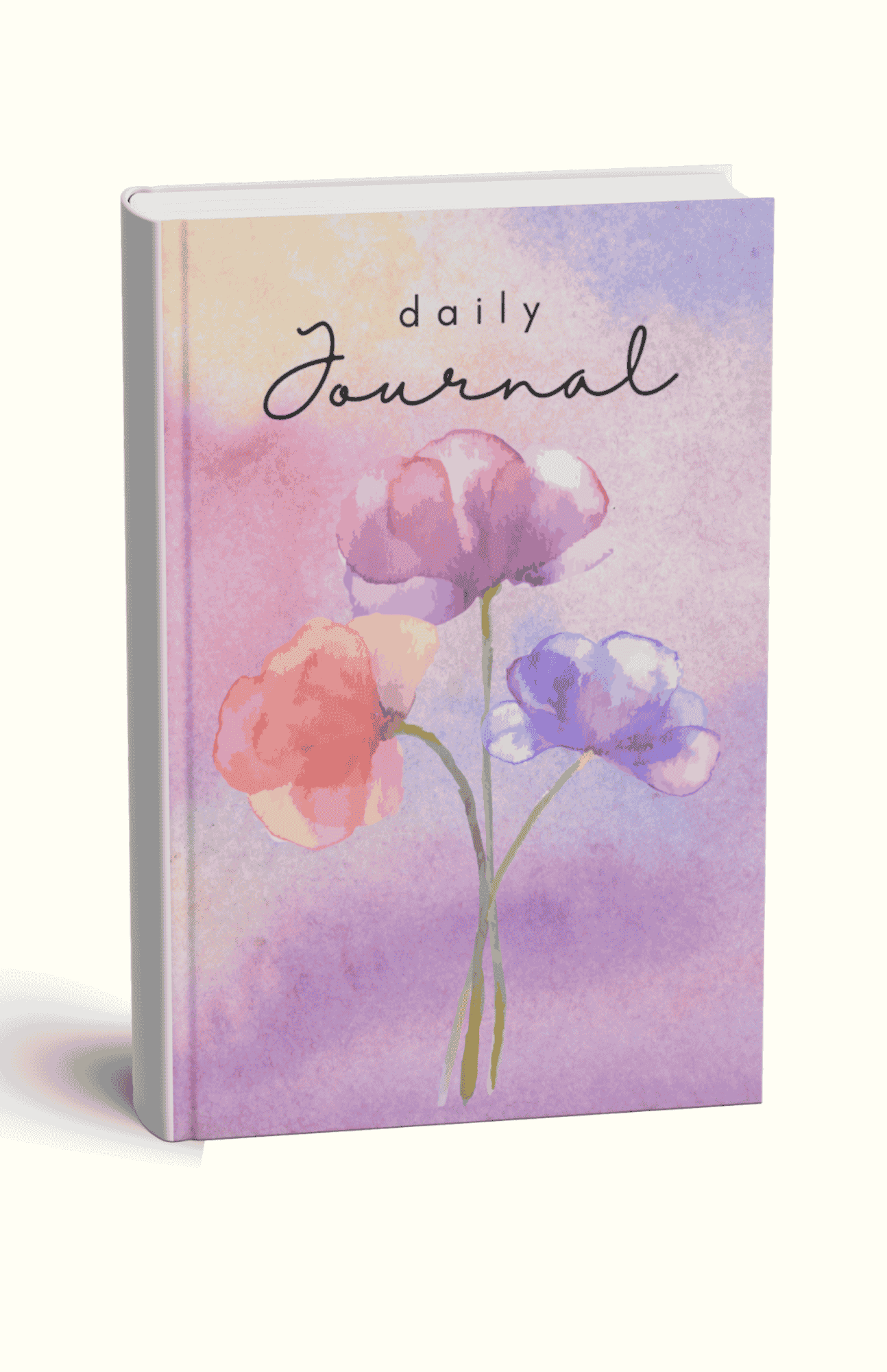 Daily Journal 01