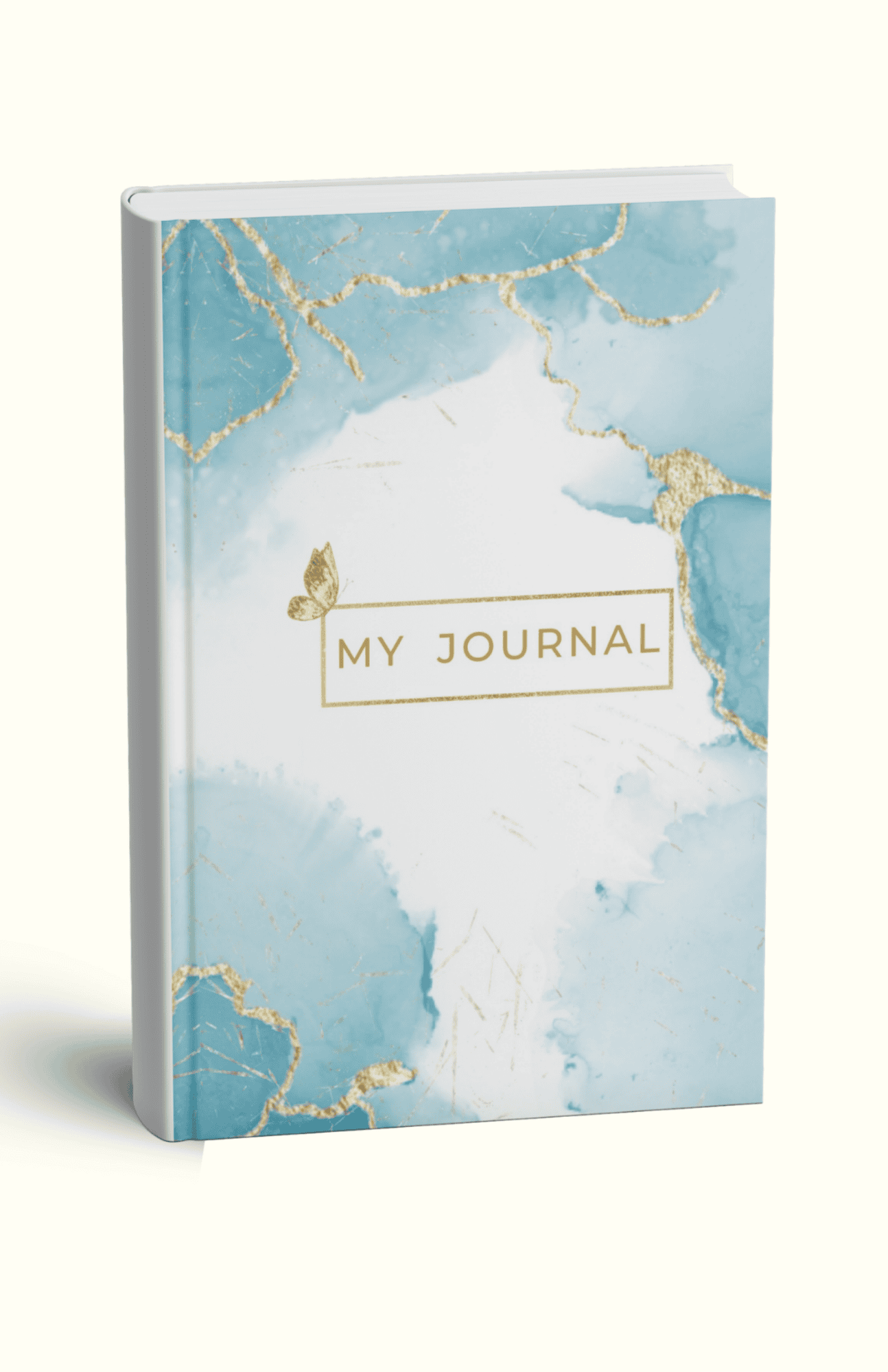 Daily Journal 20